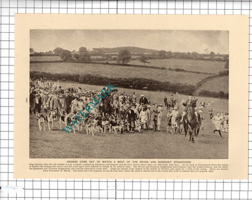 Devon and somerset - devon,