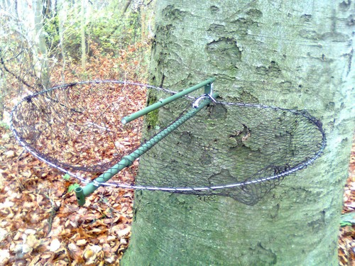 Live net trap cm aviary - live, 55
