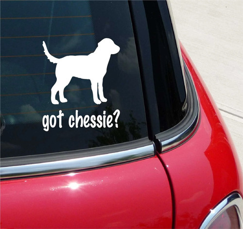 Got chessie chesapeake bay - chessie?,