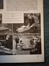 Di25  Ephemera 1950s picture e t Westbury model boat cruiser 