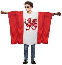 Adults Welsh Dragon Supporters