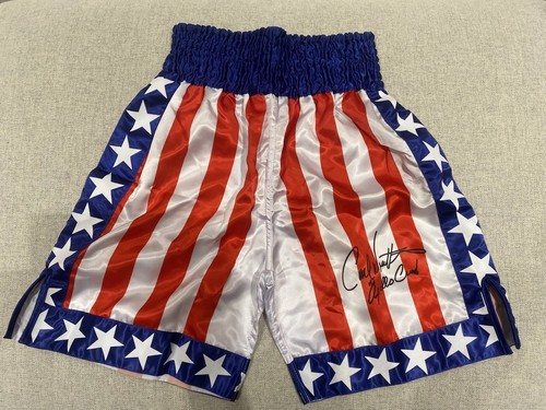 Apollo creed carl weathers - creed,