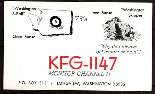 Qsl qso radio - qsl, "chico
