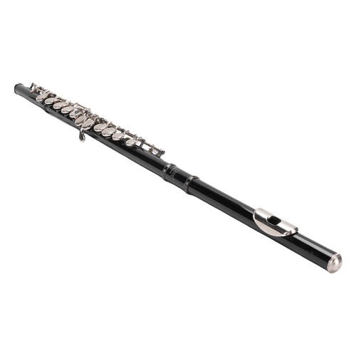 Keys open hole flute for - keys,