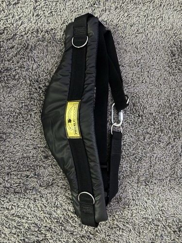 Adjustable and padded dog