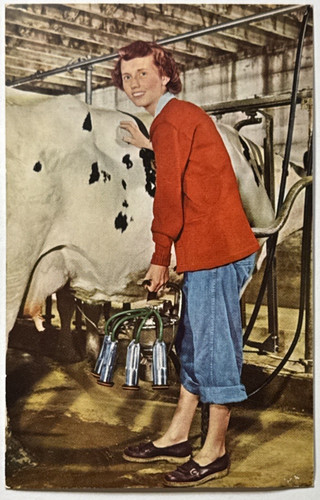 Surge dairy farm equipment - dairy,