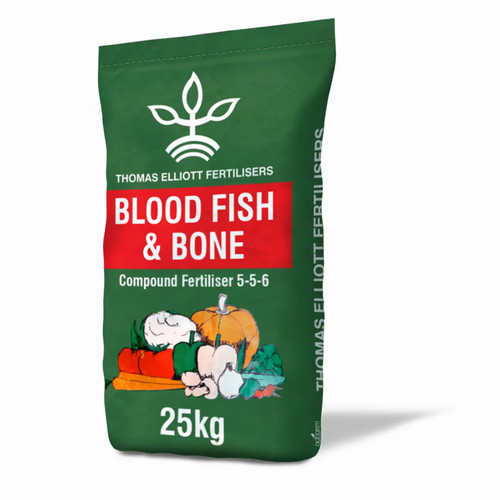 Blood fish bone organic - blood, &