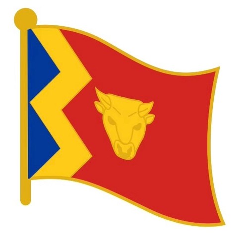 City birmingham flag - :,