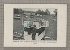 C3899) British Army Carrier Pigeons Horse Drawn Lofts War - c.1918 Book Print