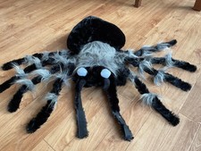 SPIDER  COSTUME  For Medium- Large Dog.