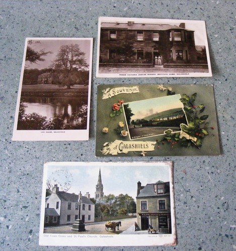 Vintage edwardian galashiels - vintage,