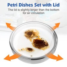 10Pcs 60mm Glass Petri Dishes