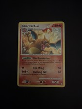 Pokémon TCG Charizard Arceus