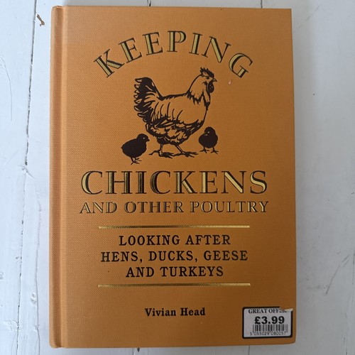 Keeping chickens and - chickens,