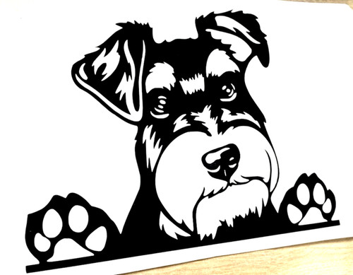 Schnauzer dog decal - 1x, vinyl