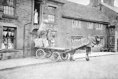 Fgm social history - fgm-26, horse