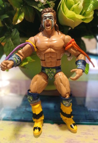 Ultimate warrior hall - hall, of
