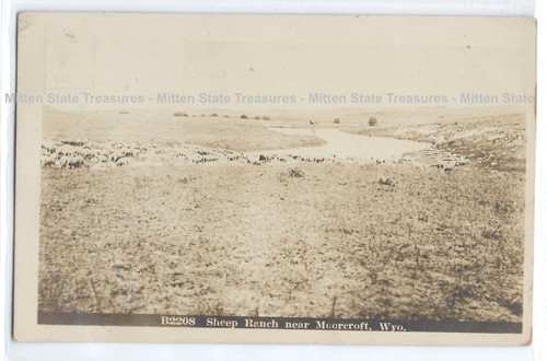 Sheep ranch river - ranch,, winter