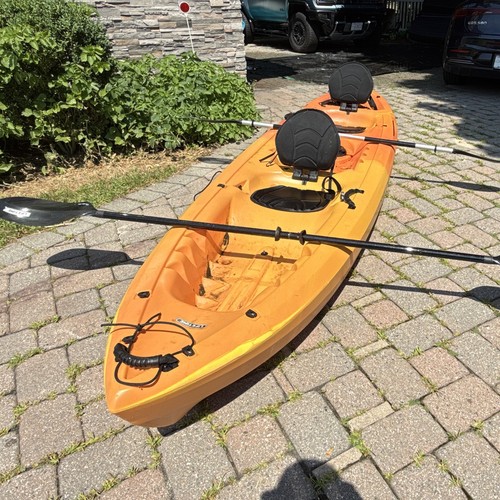355 kayak with paddles - $355,