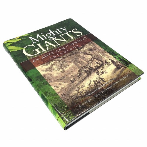 Mighty giants american - mighty, giants: