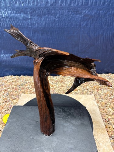 Driftwood aquarium reptile - driftwood,