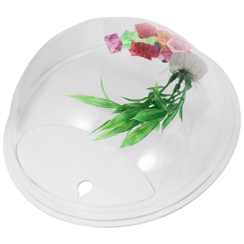 Acrylic hanging fish bowl wall - fish,