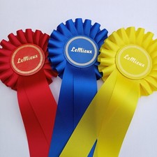 LeMieux Toy Pony Rosette Pack - Multi | Equestrian Toy Accessories