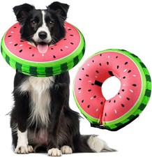 Inflatable Dog Collar Buster