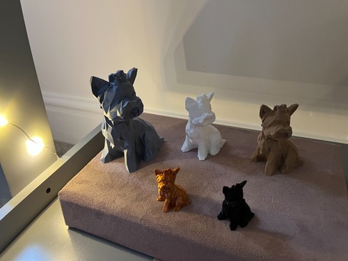 Low poly yorkie - yorkie, /