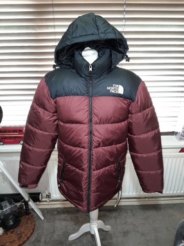 The north face - the,