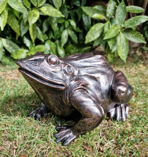 Large frog toad - large, frog/