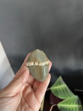 Rare Irish wishing stone from