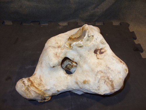 Flint hag stone - hag,