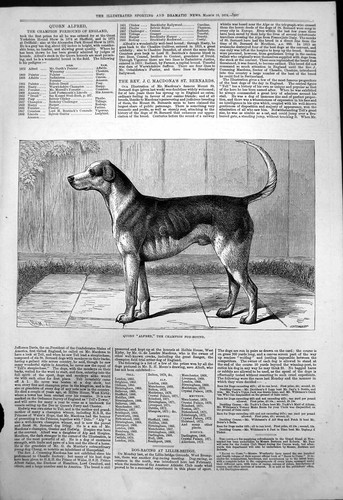 Original old antique - old, print