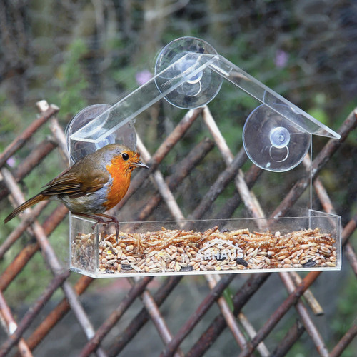 Glass window bird feeder - glass,