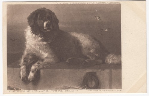 England postcard member - "a, of