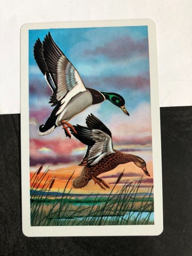 Vintage retro art swap - art,