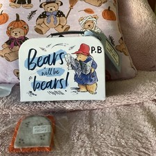 Teddy Bear Paddington Bear Case