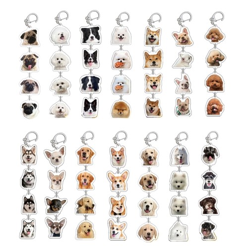 Miniature acrylic keychain pet - keychain,