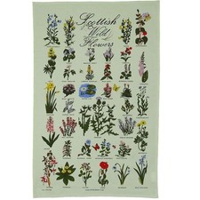 Glen Appin of Scotland