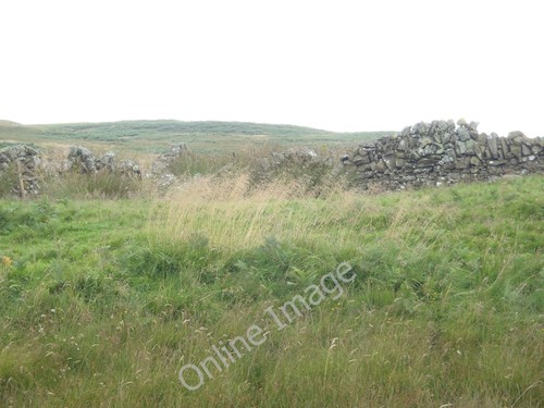 Photo 6x4 old sheep - sheep, shelter