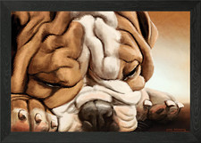 English bulldog Framed Wall