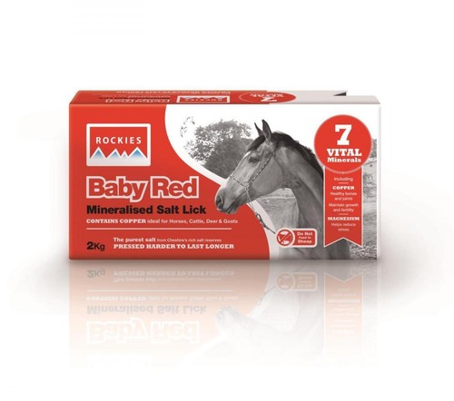 Baby red rockies horse - rockies,