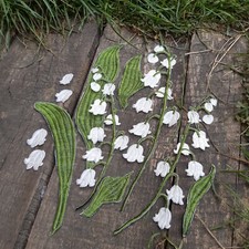 Lily of the valley wild spring