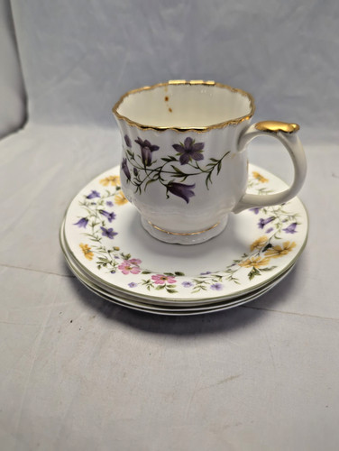 Elizabethan staffordshire - elizabethan,