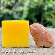 Carcharodontosaurus dinosaur tooth fossil (similar to t-rex) - cretaceous, kem