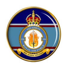550 Squadron, RAF Pin Badge