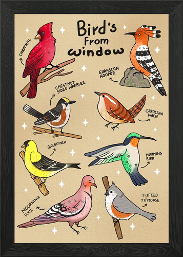 Types birds from window - of,