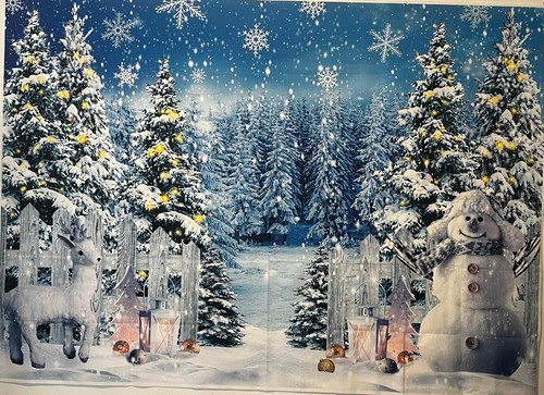 Christmas backdrop photography - backdrop,
