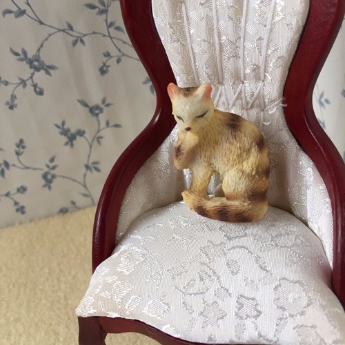 Scale tabby cat washing - ,